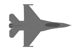 TIGER 31
